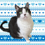 Thumbnail of post image 007