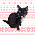 Thumbnail of post image 118