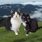 Thumbnail of post image 165